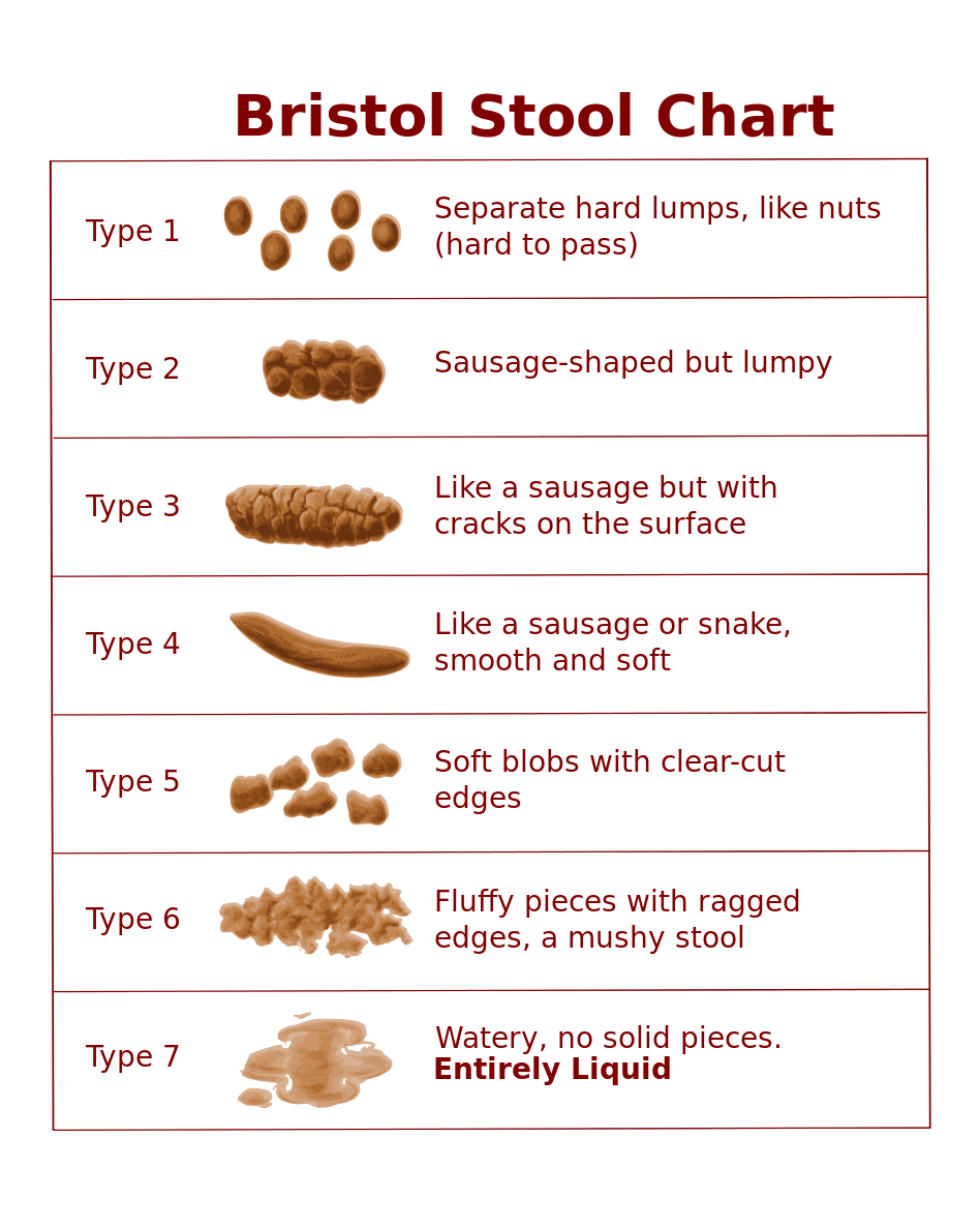 What Does the Shape and Color of My Poop Mean?