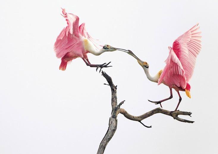 Nature Photos That Will Rock Your World