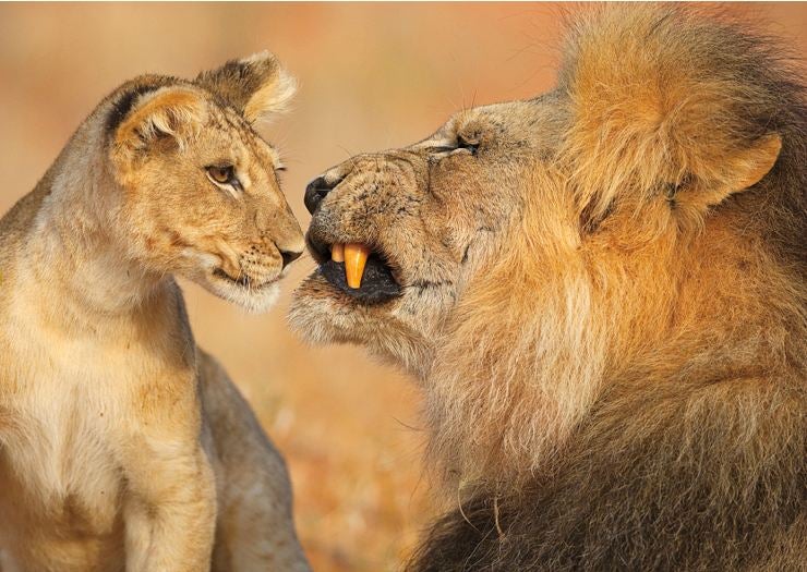 Nature Photos That Will Rock Your World