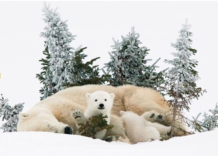 Nature Photos That Will Rock Your World