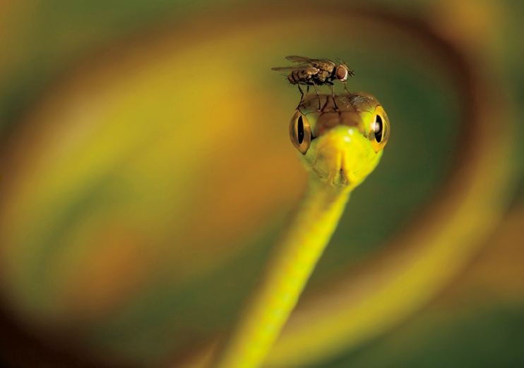 Nature Photos That Will Rock Your World