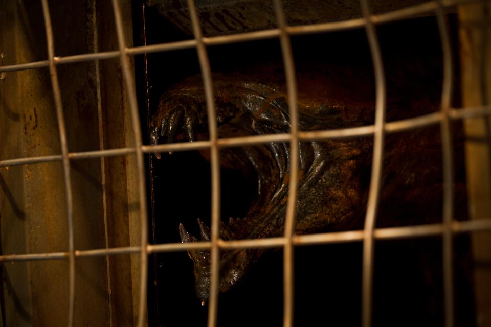 First Look at Katee Sackhoff and an Alien Monster in Riddick 3