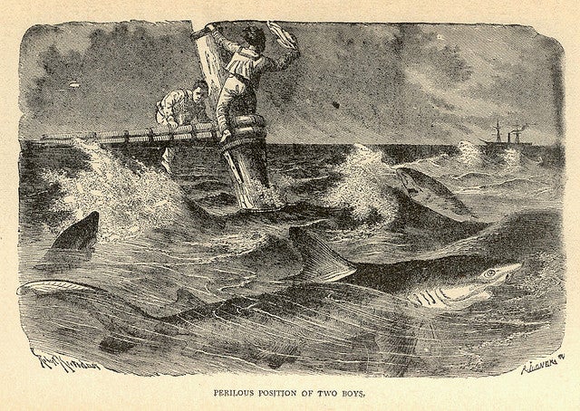 This gruesome 1889 biology book outlined the many ways animals will kill us