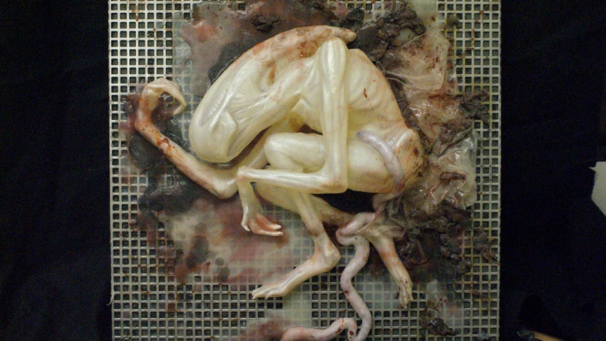 Prometheus concept art puts us face-to-sucker with the movie's creatures