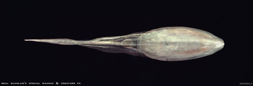 Prometheus concept art puts us face-to-sucker with the movie's creatures
