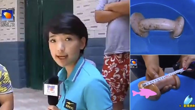 Chinese News Confuses Masturbation Toy with a Mysterious Mushroom