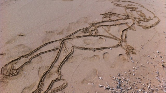This Guy Doesn't Need Paper to Draw Cute Characters. Sand Will Do.