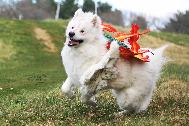 Kickstart Your Week With Some Terrific Cosplay