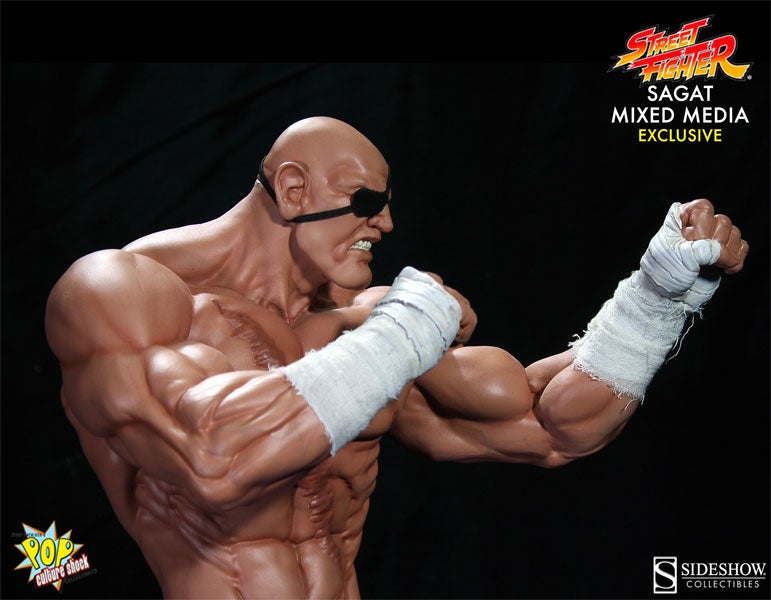 Sagat Won't Just Tiger Uppercut Your Face, He'll Get Your Wallet, Too