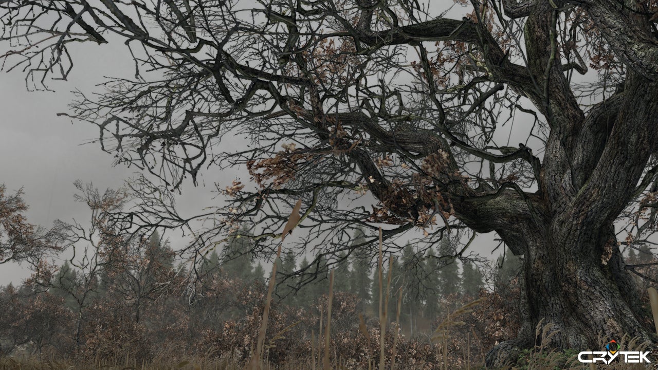 Cancelled Crytek Game Looked More Alan Wake Than Crysis