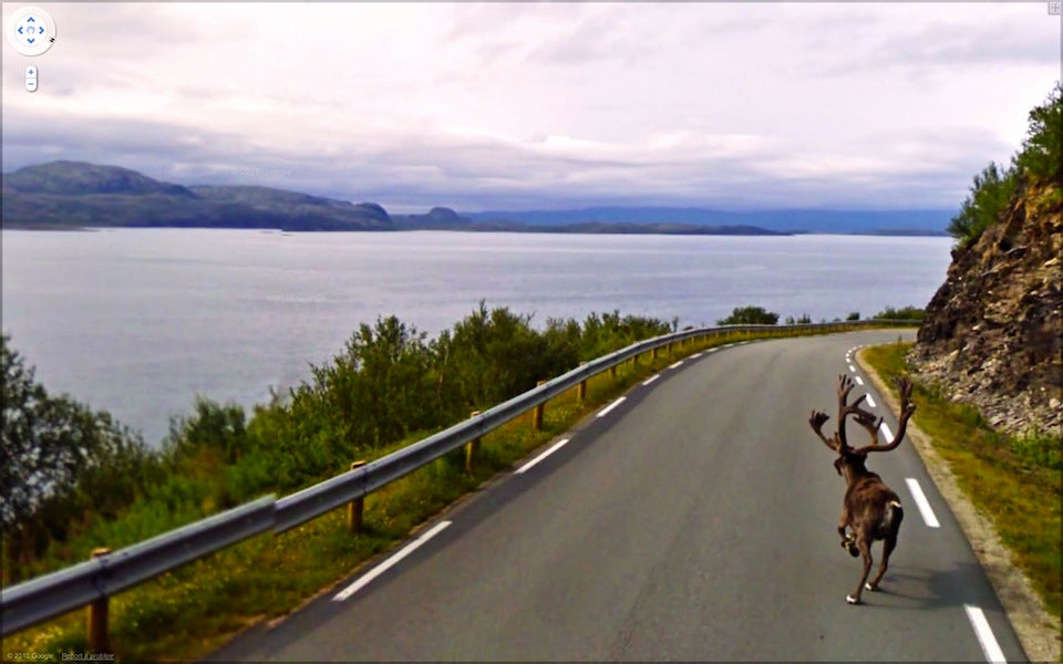 The Funniest Pictures Found on Google Street View