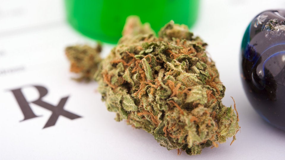 Animals on Drugs, Chuck Berry on Keith Richards, and Israel: Home to the World's Best Weed