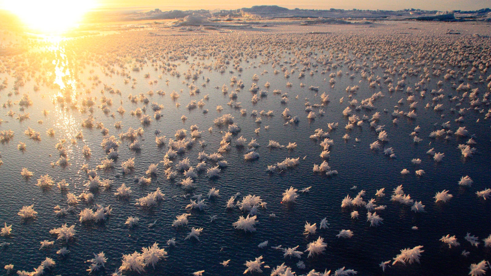 The 100 Most Astonishing Images of 2012