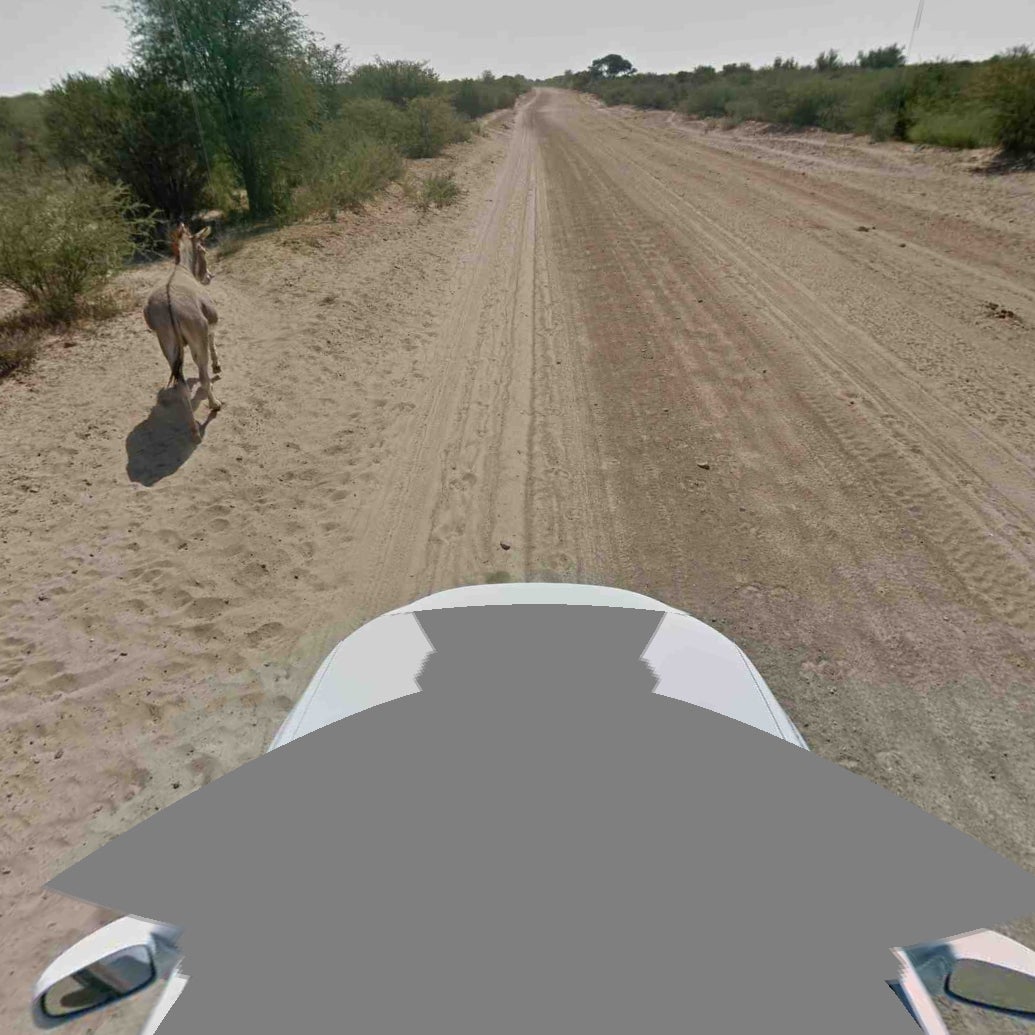 Google Street View Car Not Guilty of Donkey Murder
