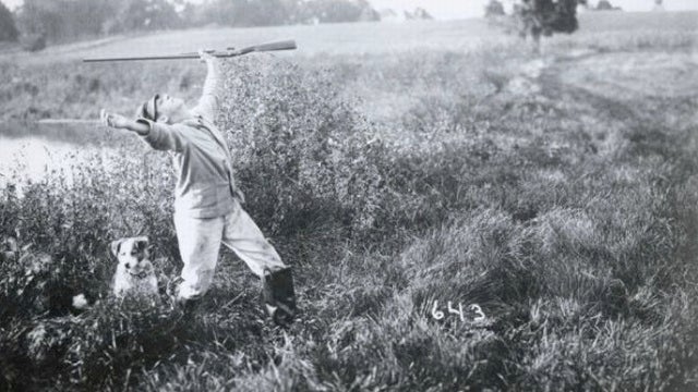 Freakish, Century-Old "Tall Tale Postcards" Were the 'Shops of Their Day