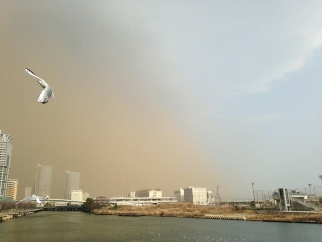 Sand, Smog, or Something Covered Japan in a Yellow Haze