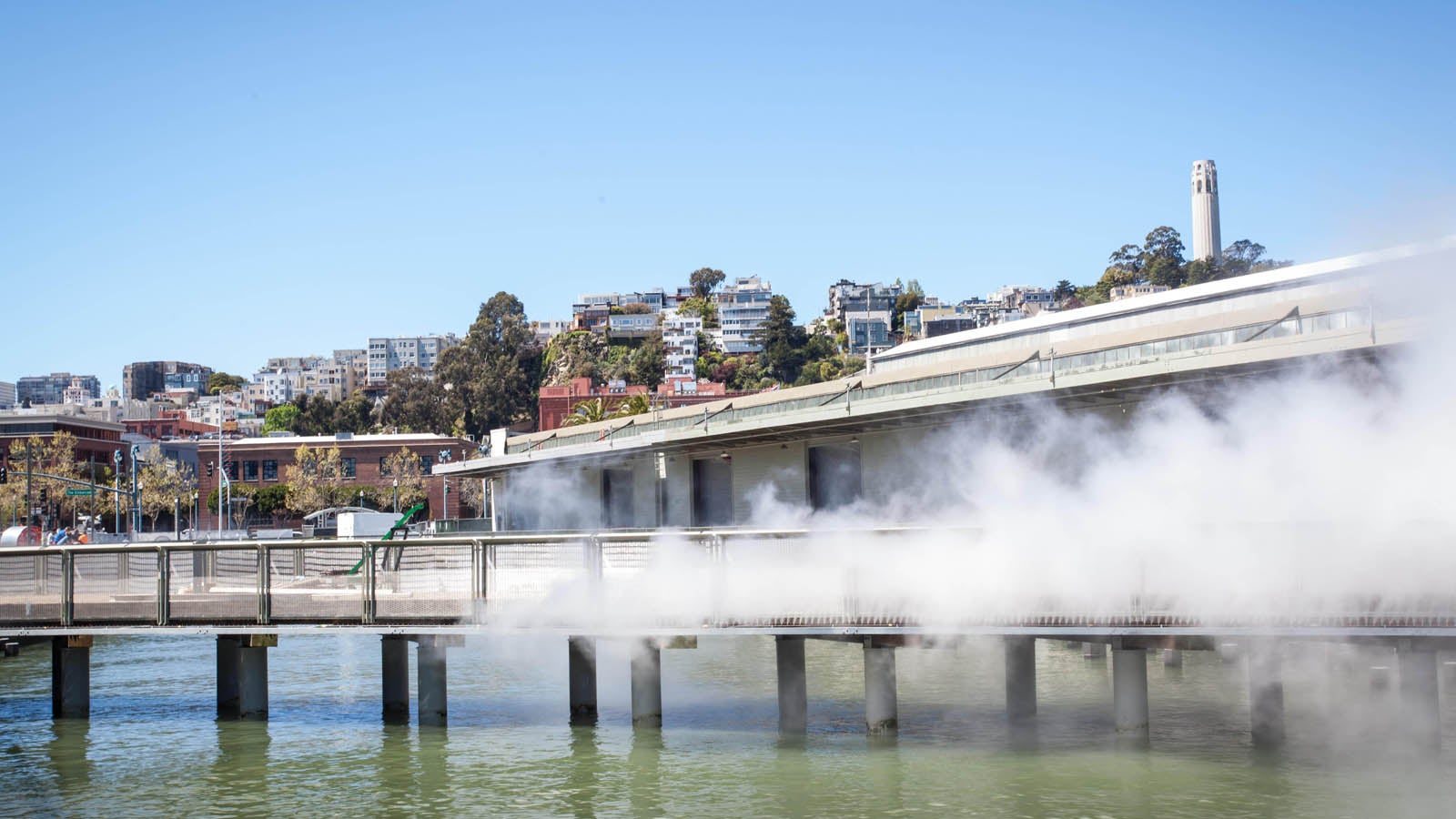 Exploratorium Reborn: Inside San Francisco's New Innovation Shrine