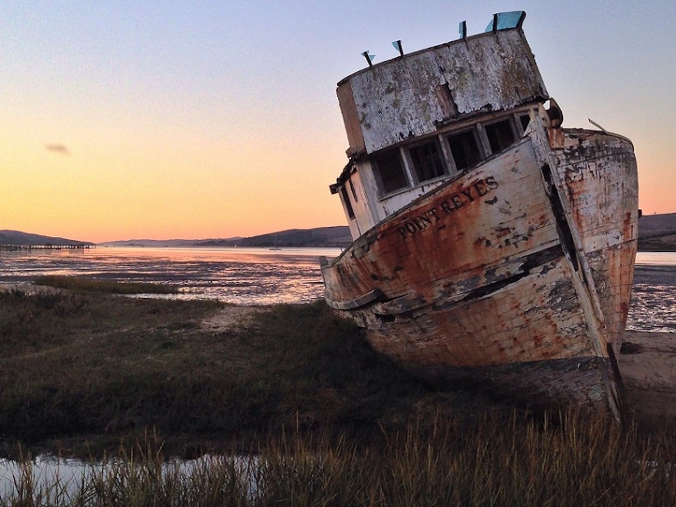 44 Of The Best Smartphone Photos You Can Take