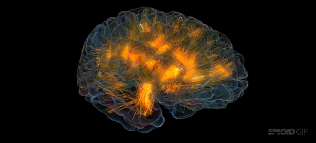 Este sistema 3D muestra la actividad del cerebro en tiempo real
