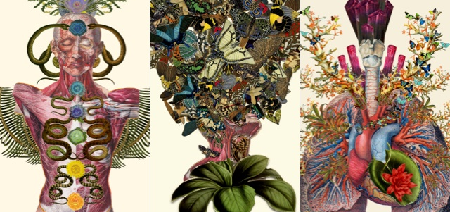 I Want These Bizarre Prints of Brains and Butterflies On My Walls