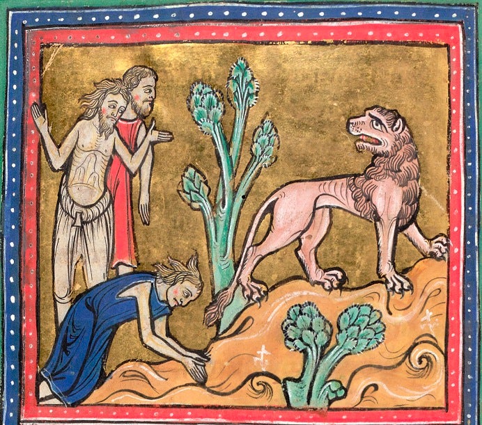 How Europeans Imagined Exotic Animals Centuries Ago, Based on Hearsay