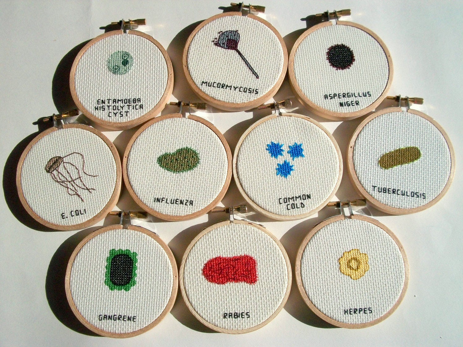 Cross-Stitched Microbes Let You Hang Your Favorite Germs on the Wall