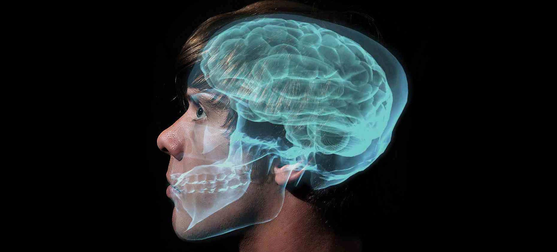 Your Brain Forgets Stuff Carefully and on Purpose