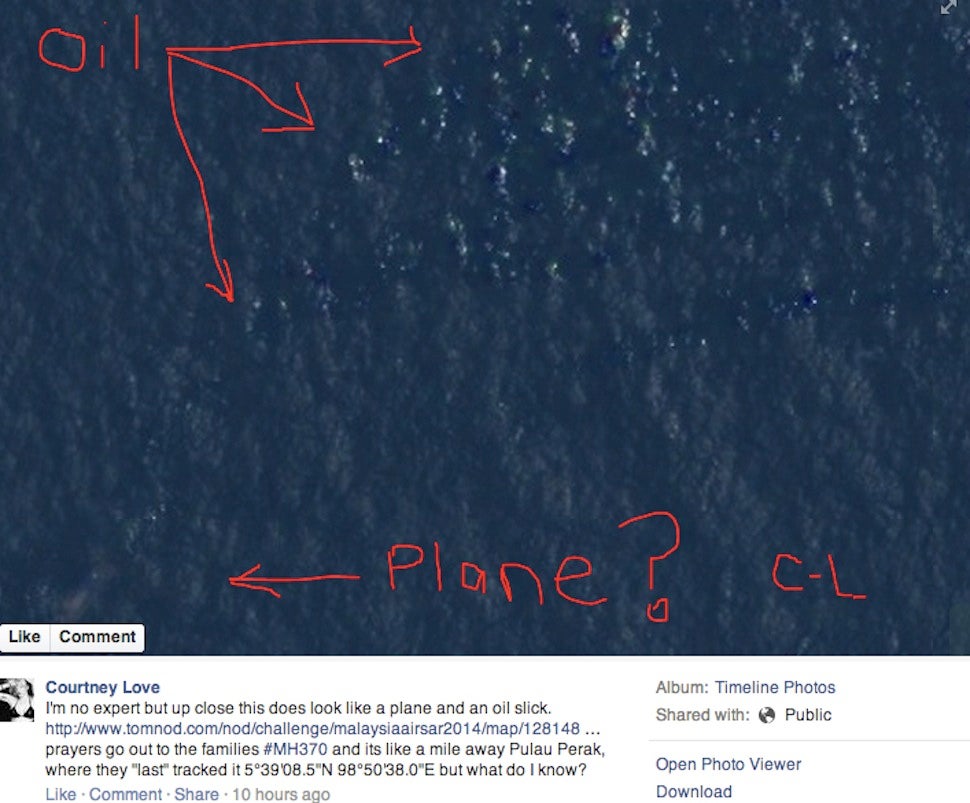 Courtney Love Thinks She Found Flight 370