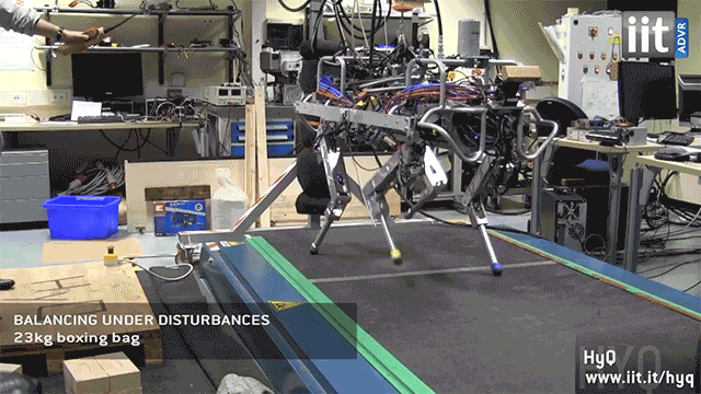 The Robots of Tomorrow Aren&#39;t So Scary When They&#39;re Getting Beat Up