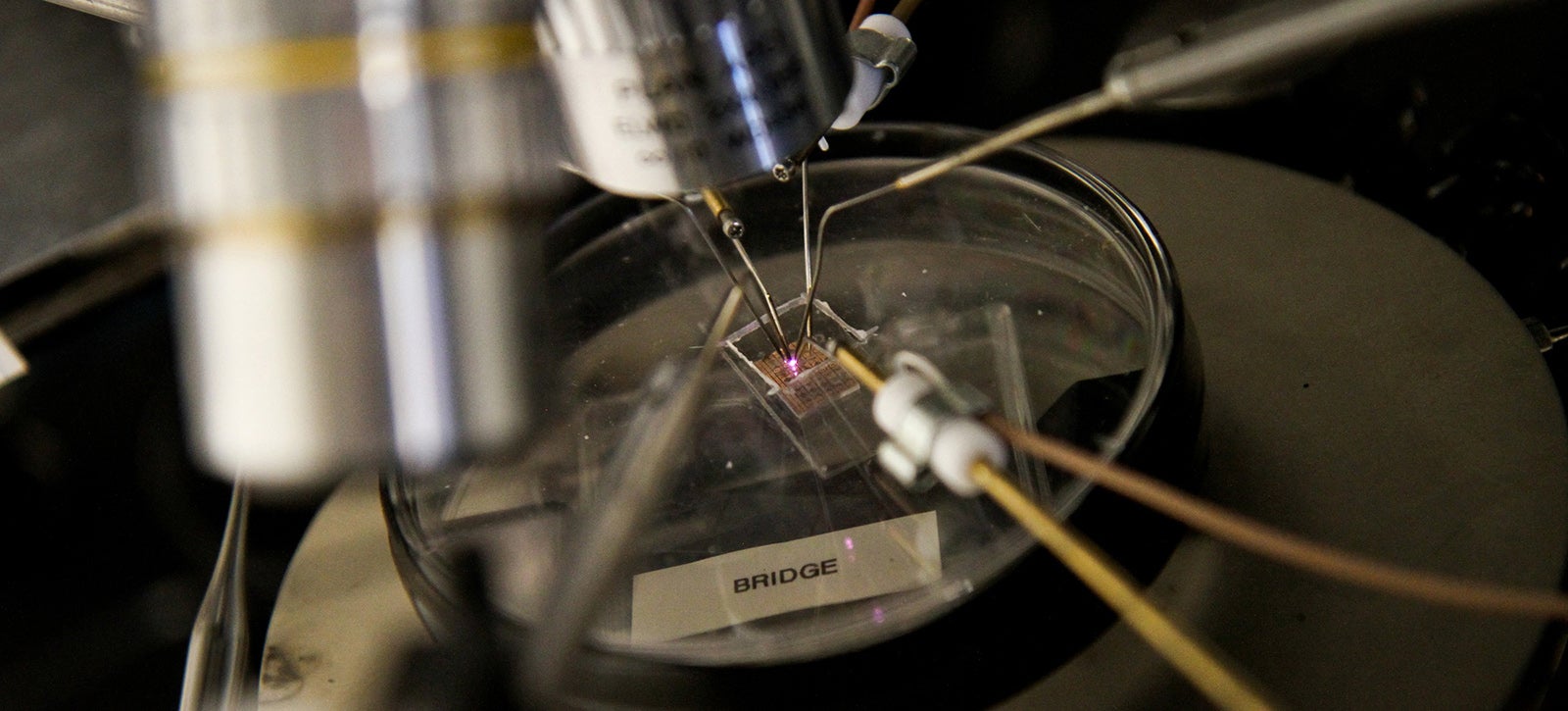 World&#39;s Tiniest Plasma Transistor Can Make Supertough Electronics