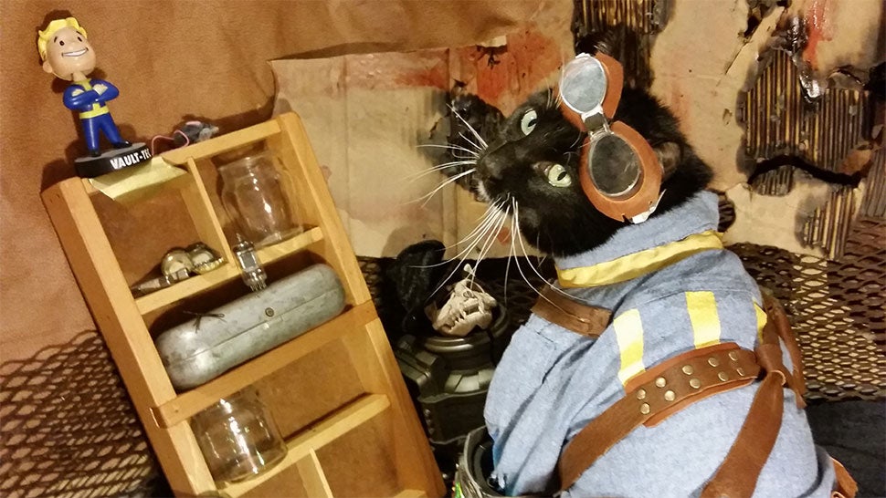 fallout 4 how to get a cat