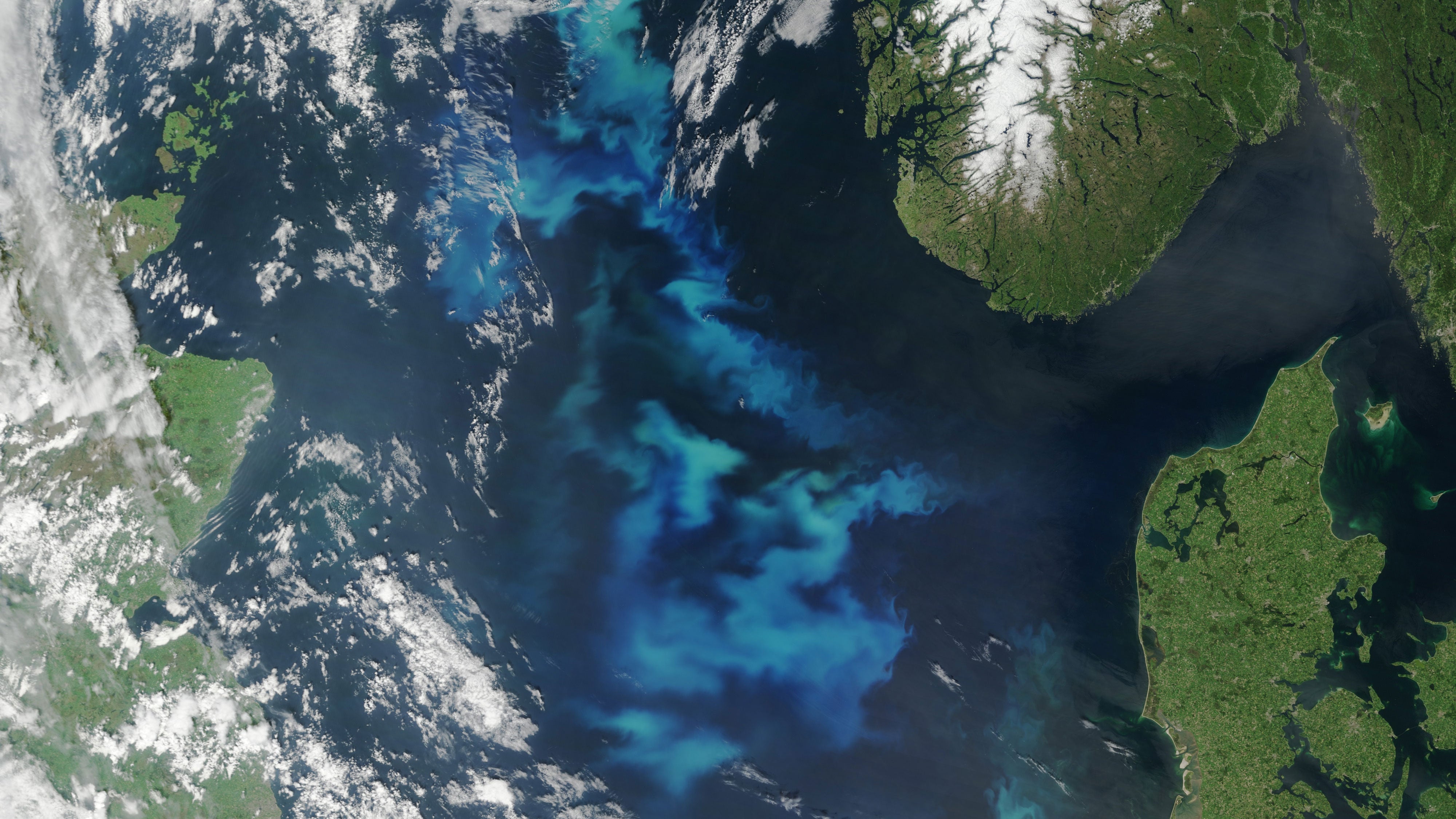 NASA Captures North Sea Algae In Full Bloom Gizmodo Australia