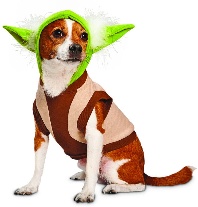 You'll Want These Star Wars Dog and Cat Toys More Than Your Pets Do