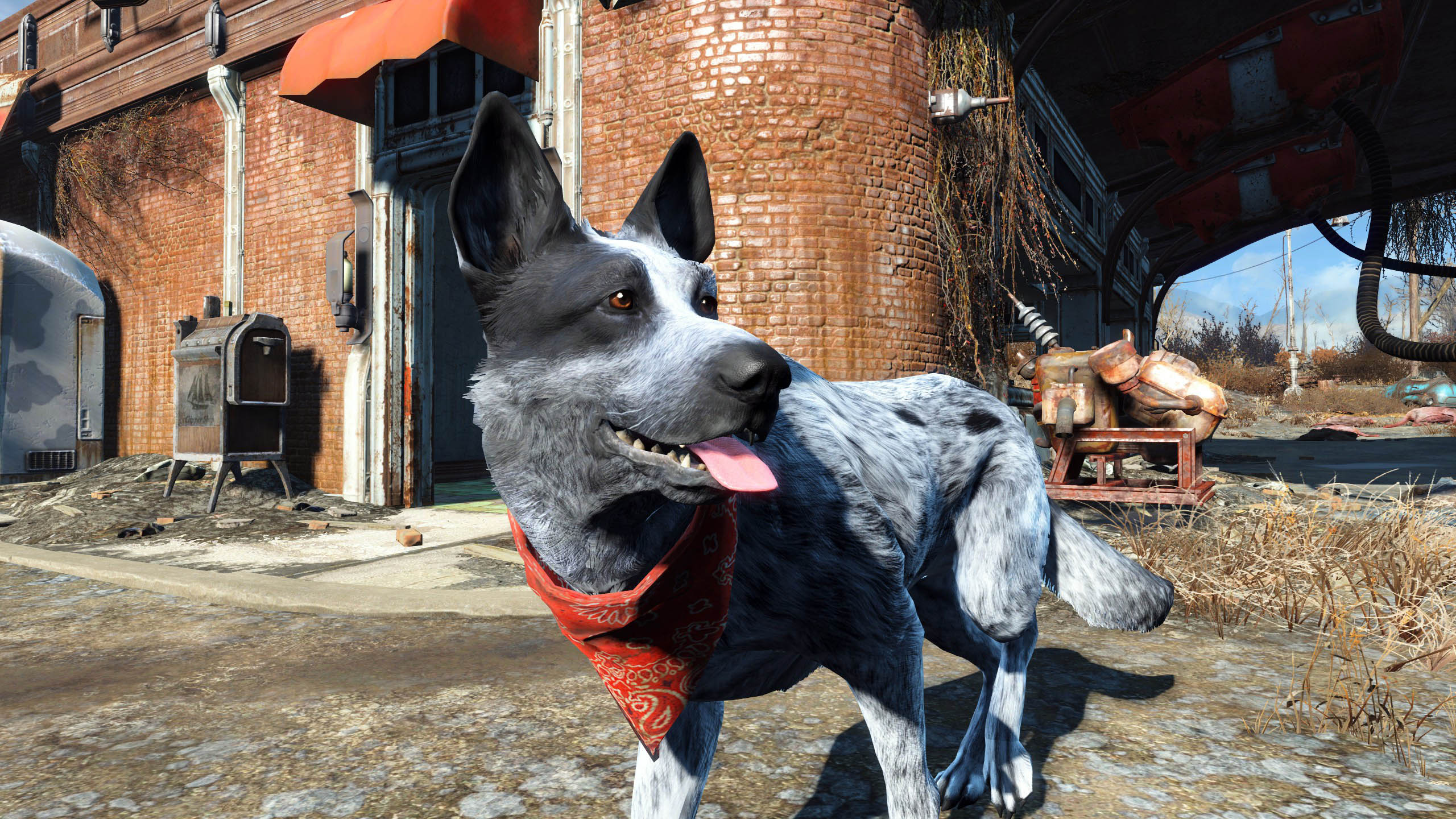 Fallout 4 Fan Mods Their Actual Dog Into The Game | Kotaku Australia