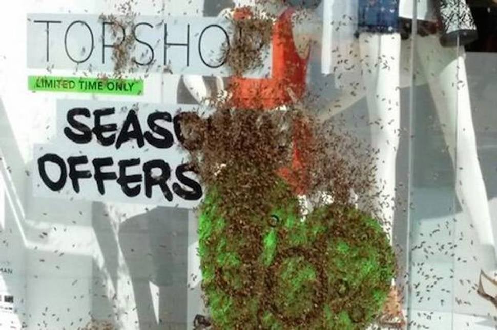 Swarm of Five Thousand Bees Mobs Central London Topshop Swarm of Five Thousand Bees Mobs Central London Topshop