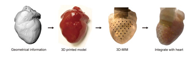 Crean una membrana artificial capaz de evitar ataques al corazón