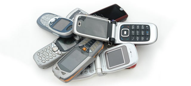 Mushrooms Can Mine the Gold From Your Old Cellphones