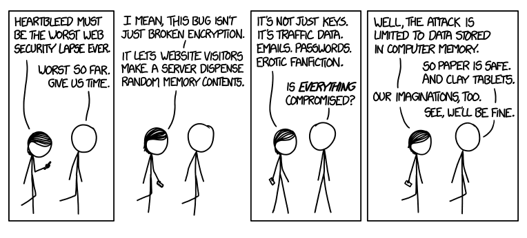 Even If Heartbleed Loses Your Data, You Still Have Your Thoughts