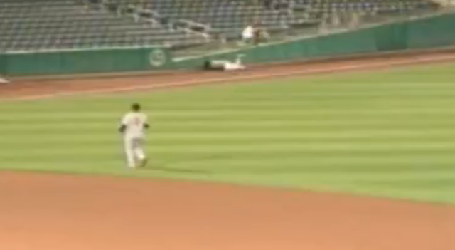 Giants Minor Leaguer Dives Head First Into Outfield Wall