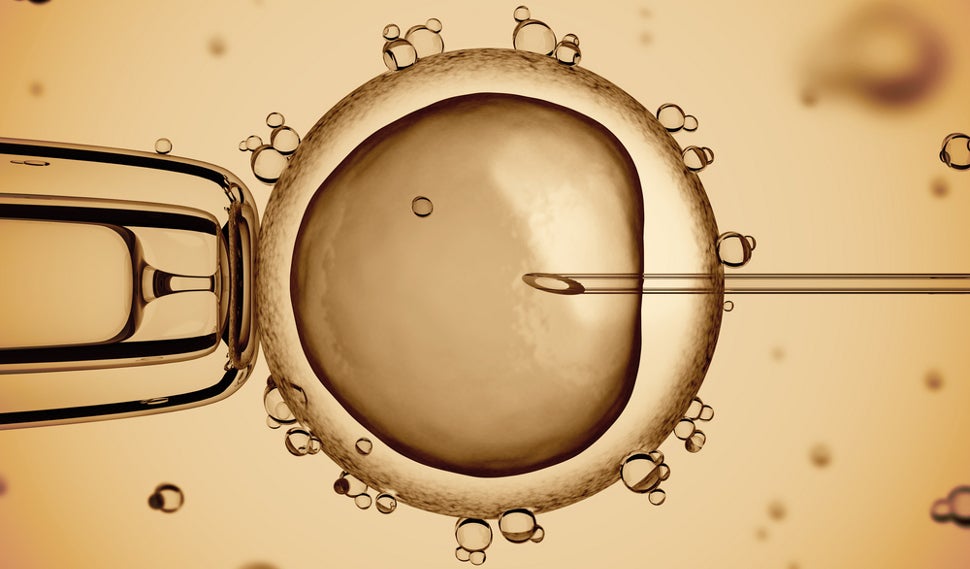 Researchers Clone Stem Cells From Human Adults