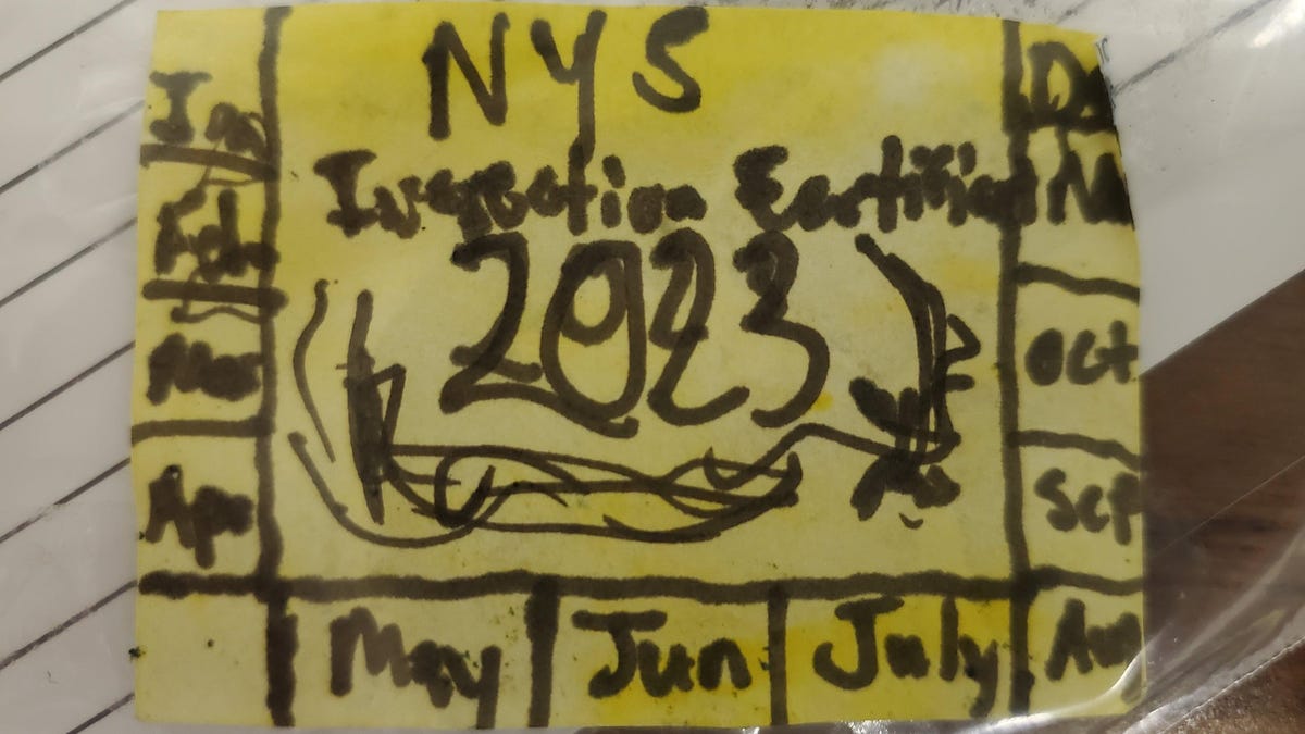 Man Arrested For Fake New York State Inspection Sticker