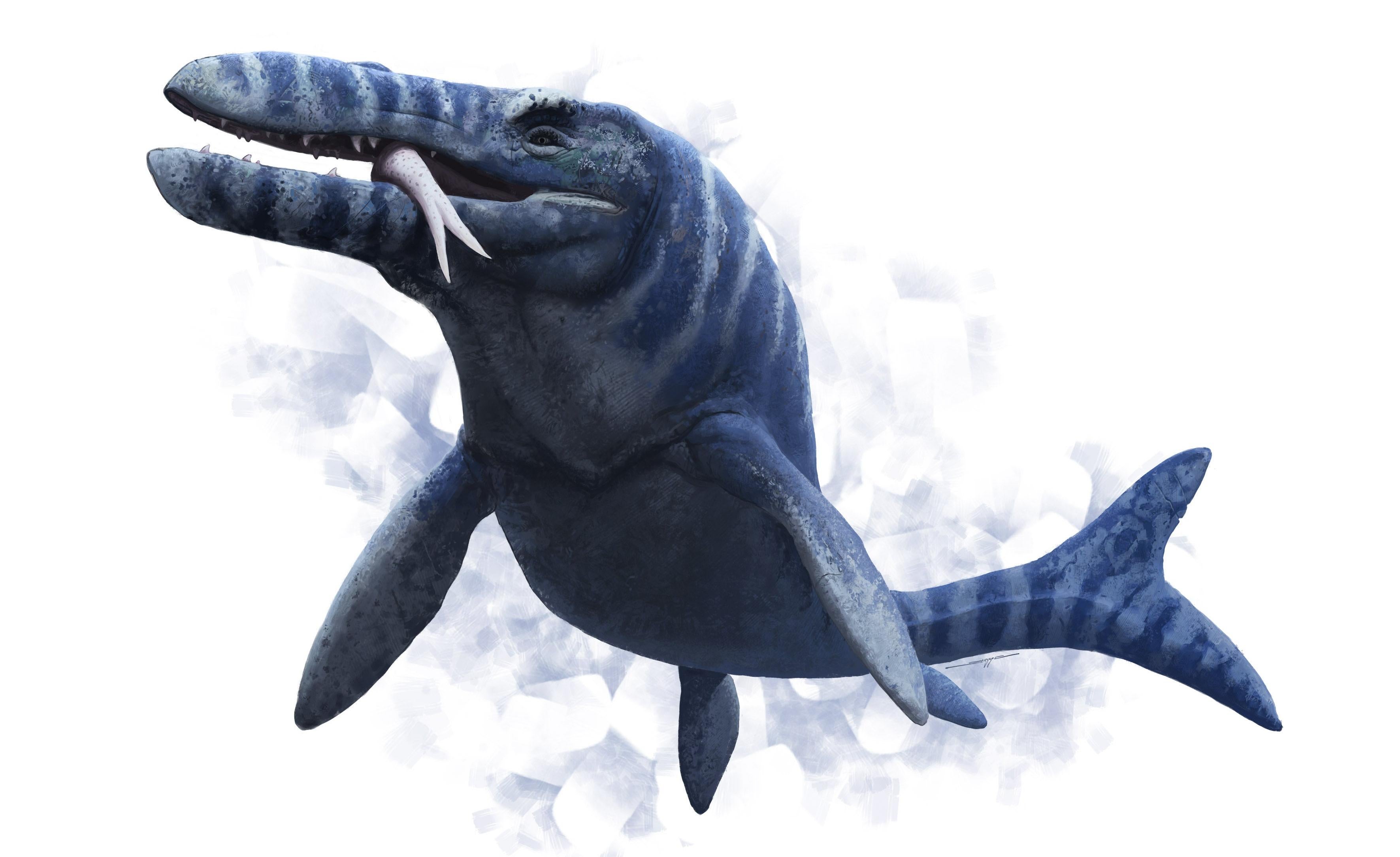 Junbaby Mô hình khủng long mosasaurus