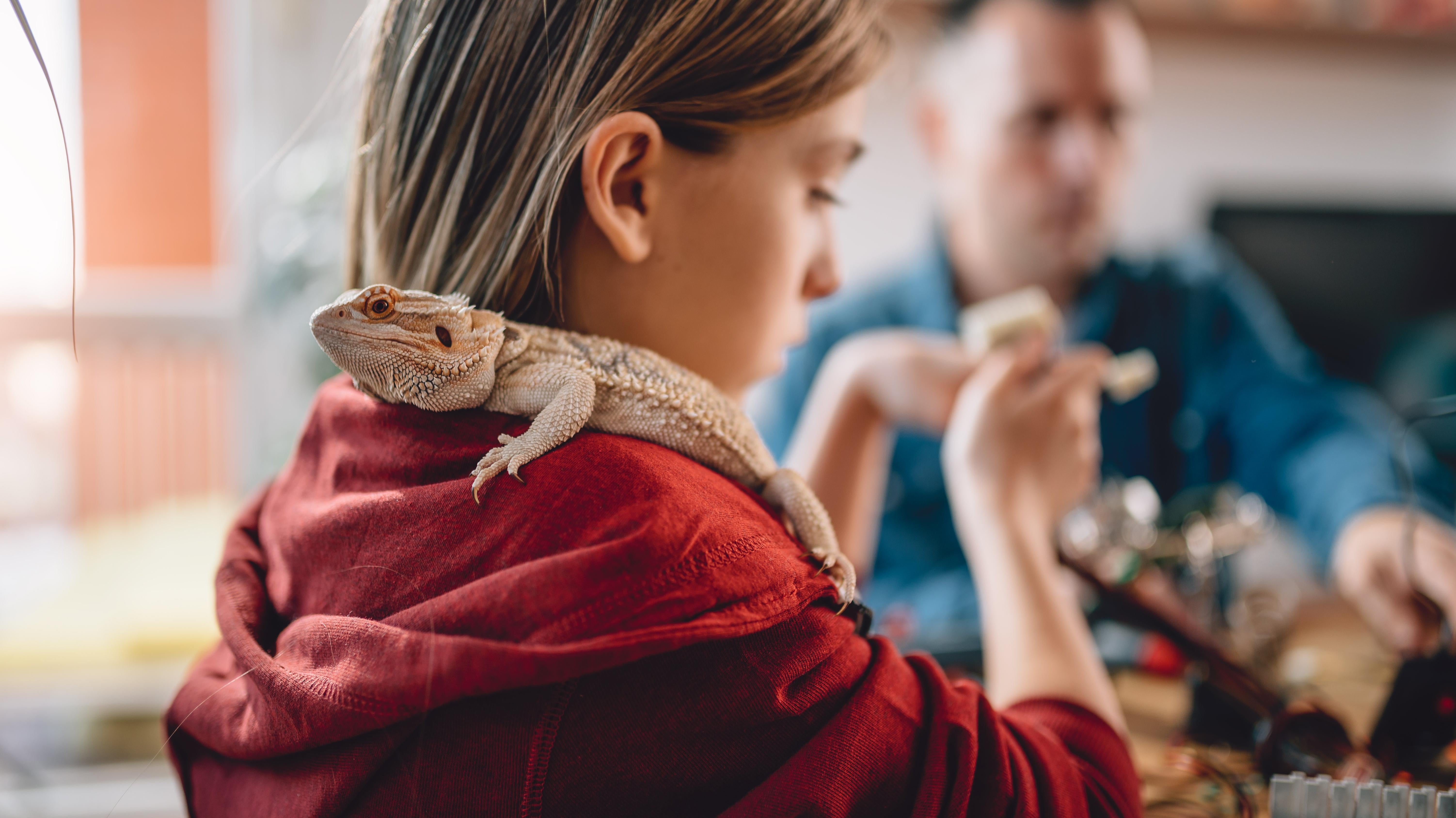 Don't Let the Kids Kiss Your Pet Lizard Don't Let the Kids Kiss Your Pet Lizard