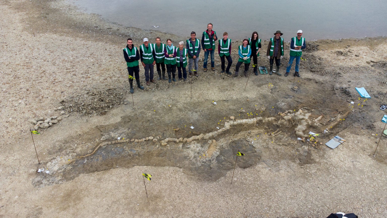 Gigantic Fossil Is the Largest Marine Reptile Ever Found in Britain