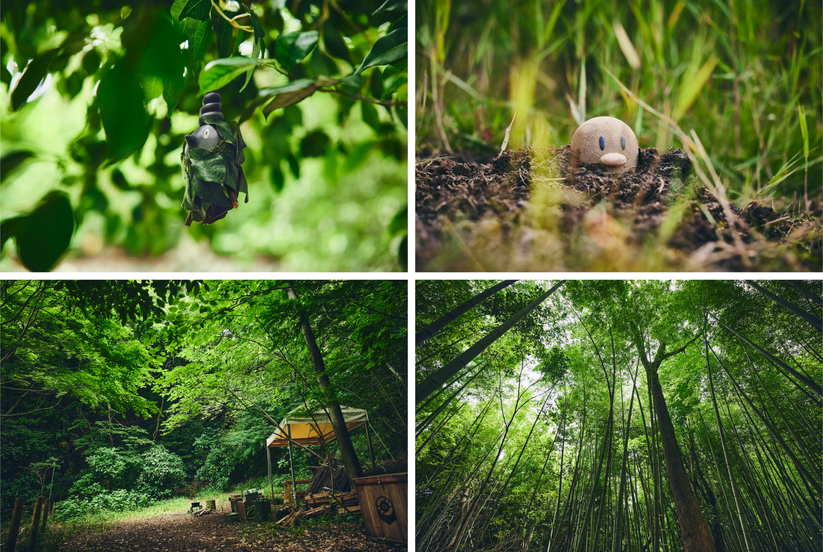Parque temático que permite caçar pokémons de verdade na floresta faz  sucesso no Japão