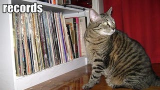 Keep Your Cats From Destroying Your Furniture