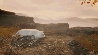 Michel Ancel Gaming Reviews News Tips And More Kotaku
