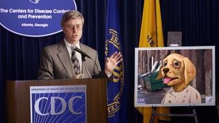 petco the honest kitchen