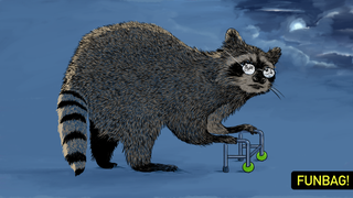 How Many Wild Animals Die Of Old Age