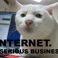 internet-serious-business